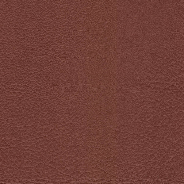 Liquid Amber