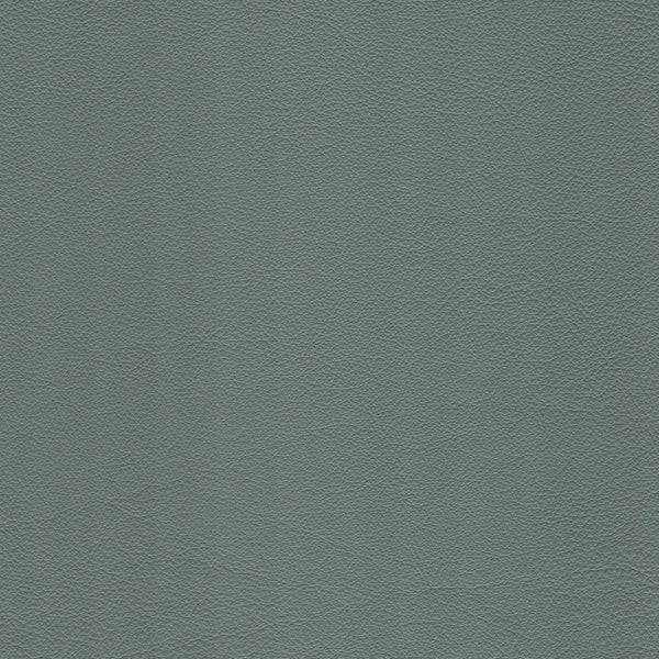 Palm
