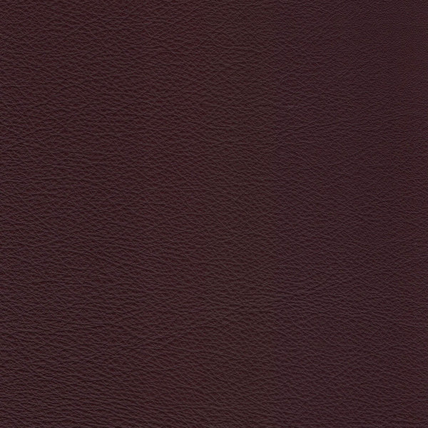 Shiraz