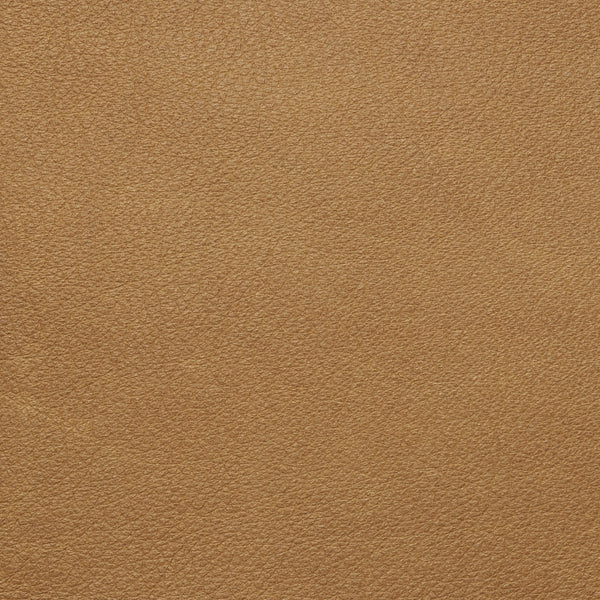 Desert