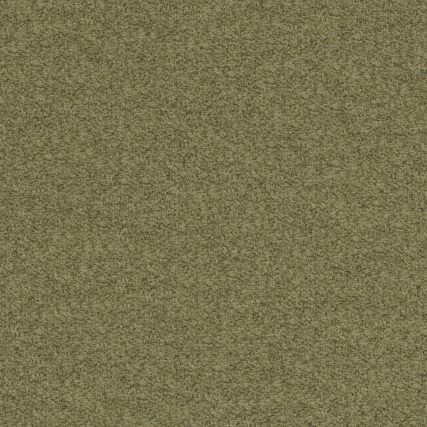 Cedar