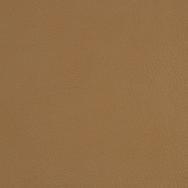 Butterscotch