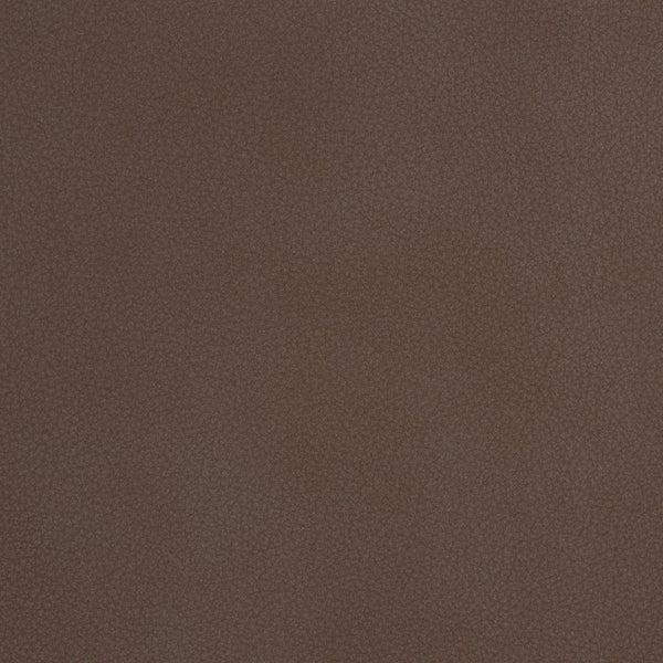 Cinnamon