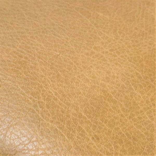 Palomino